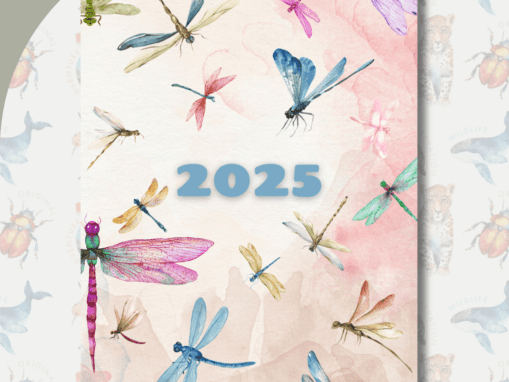 2025 Diary for Girls