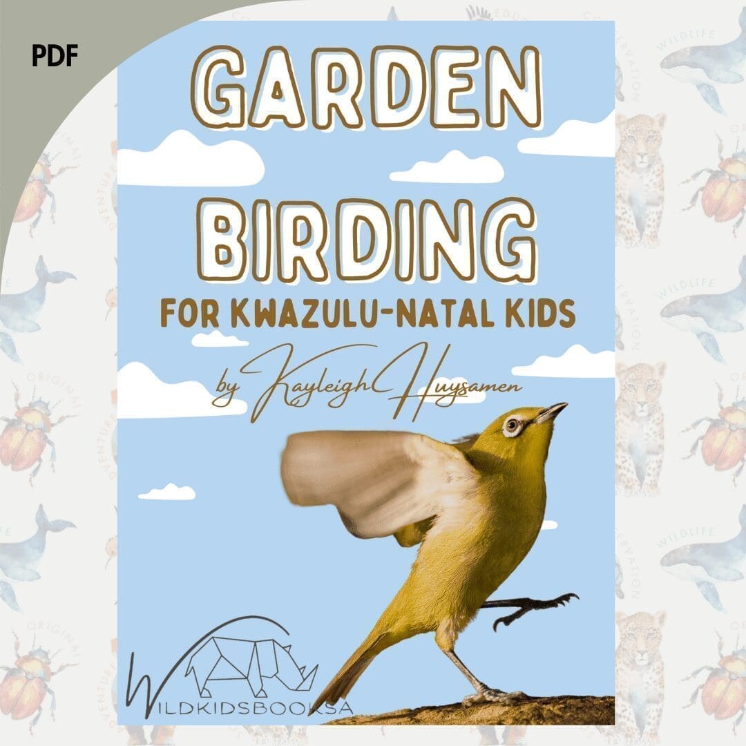 Garden Birding for KwaZulu-Natal Kids (PDF download)