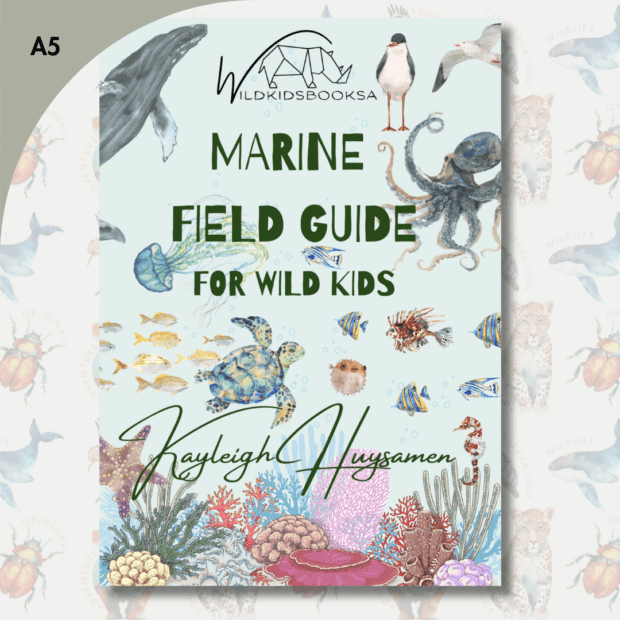 Marine Ecology Field Guide for Kids (A5) | Local is Lekker ZA | African Gifts