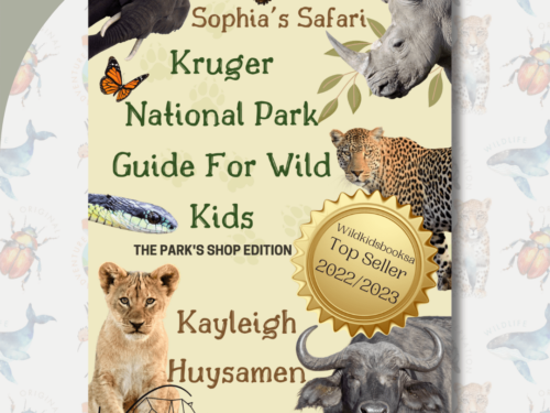 Kruger National Park Guide for Kids