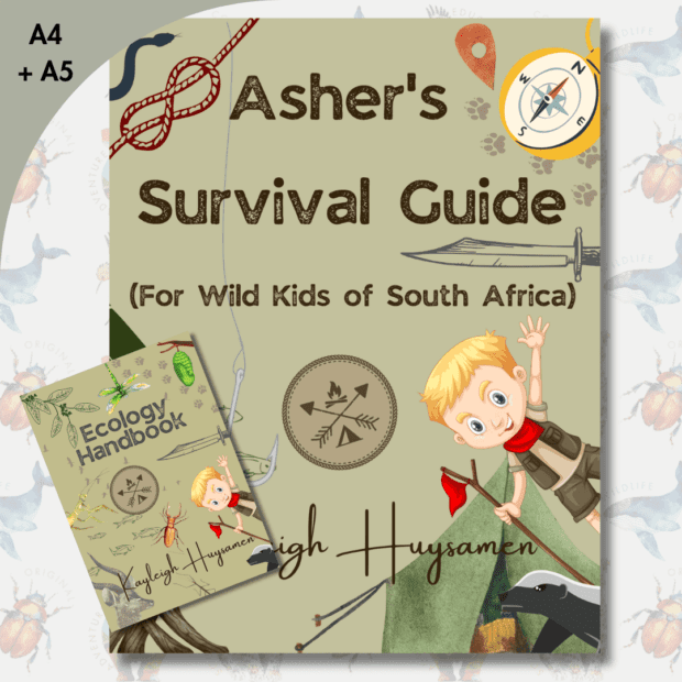 Ashers Survival Guide for Wild Kids of South Africa (map, stickers and Ecology Handbook included) (A4) | Local is Lekker ZA | African Gifts