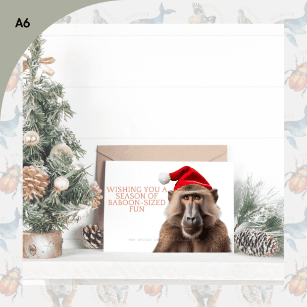 Baboon Fun Festive Greeting Card