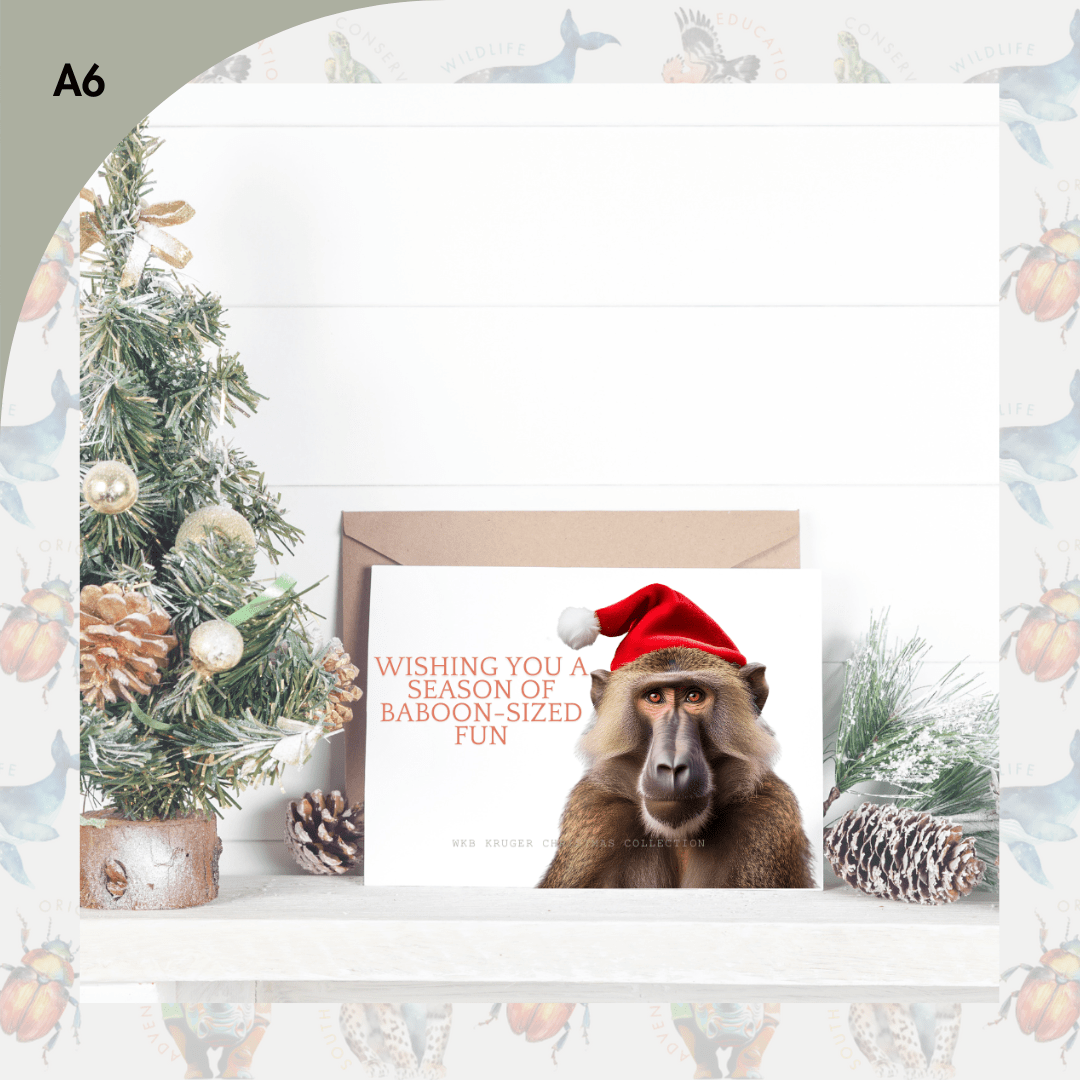 Baboon Fun Festive Greeting Card (A6) (Christmas Card)