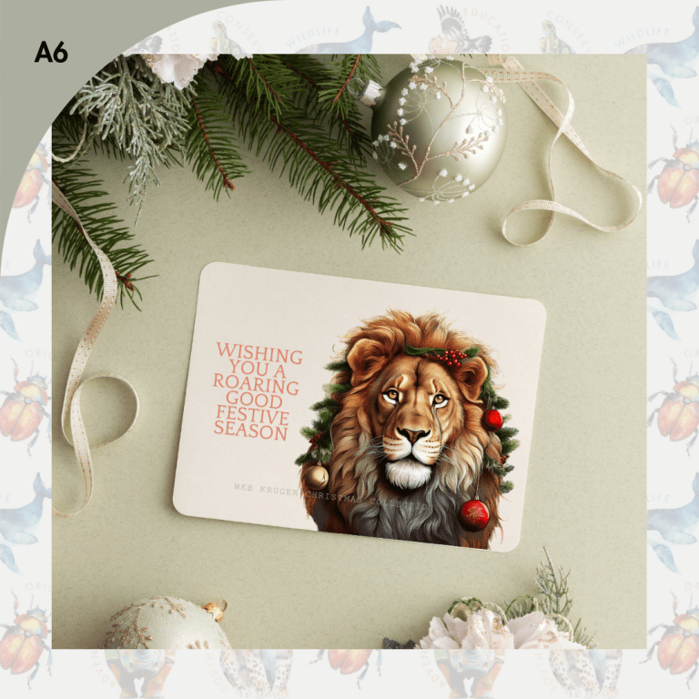 Roaring Good Christmas Card (A6)