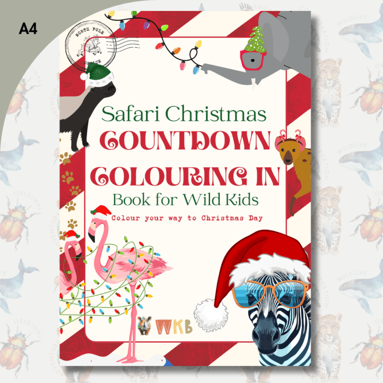 Safari Christmas Countdown Colouring In Book