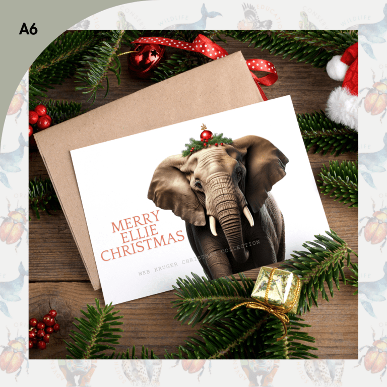 Merry Ellie Festive Greetings Card (A6) (Christmas Cards)