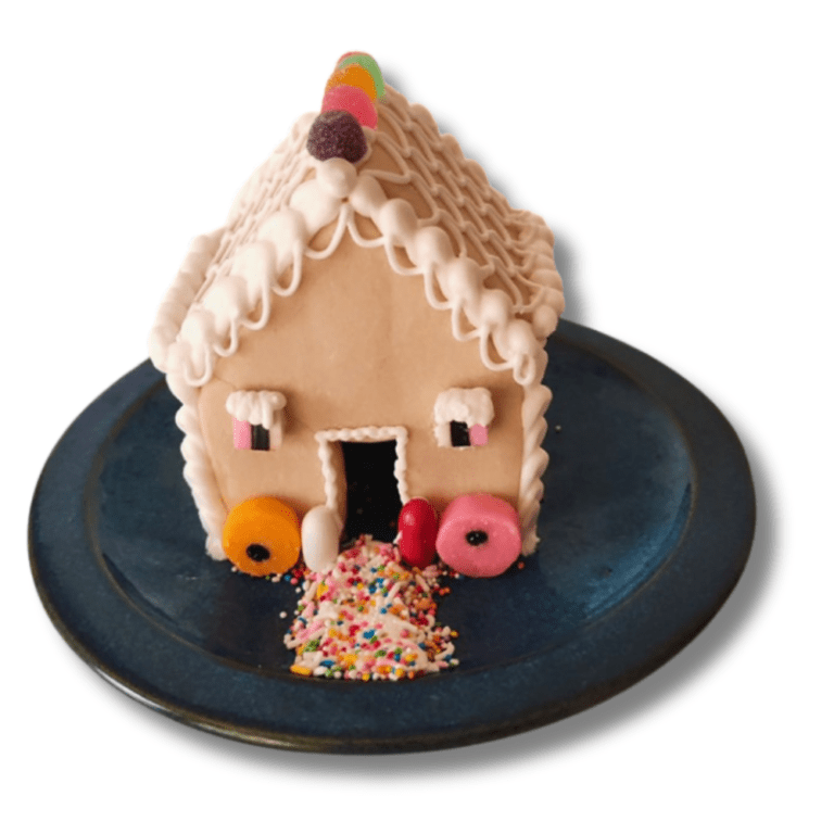 Adorable DIY Christmas Cookie House