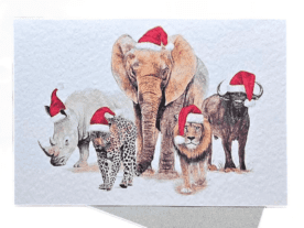 Big 5 Watercolour Christmas Cards