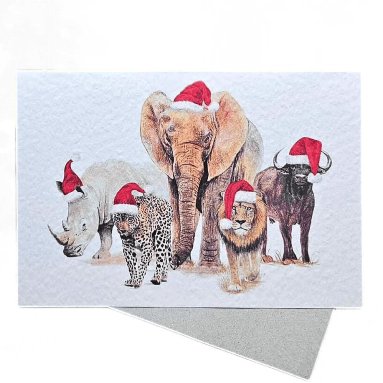 Big 5 Watercolour Christmas Cards - Envirokid