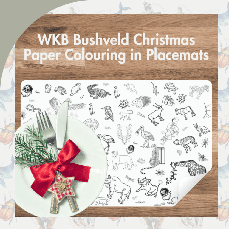 Bushveld Colouring In Christmas Placemats (sold individually)