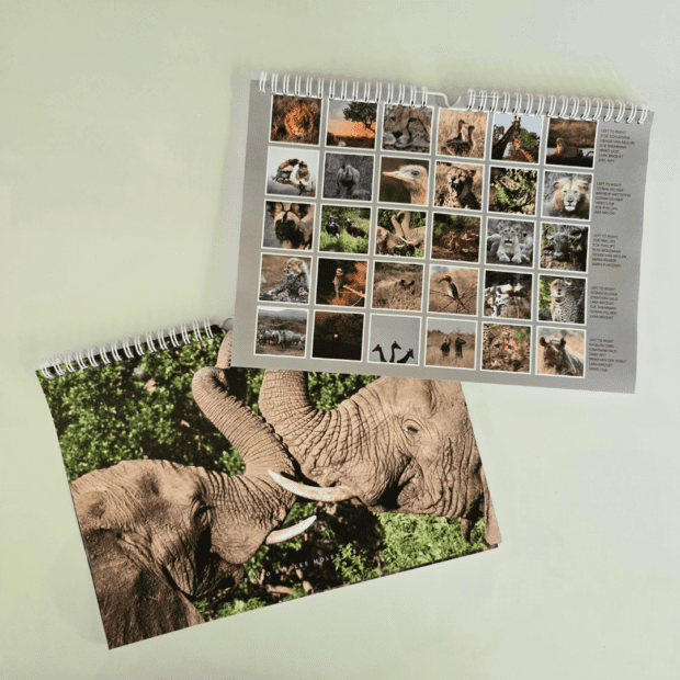 WILDLIFE ACT 2025 WALL CALENDAR - LIMITED EDITION | Local is Lekker ZA | African Gifts