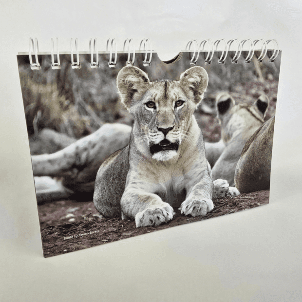 WILDLIFE ACT 2025 DESK CALENDAR ON STAND OR WALL HANG | Local is Lekker ZA | African Gifts