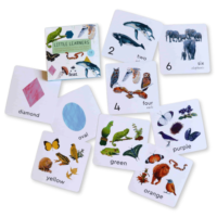 Little Learners Flash Cards