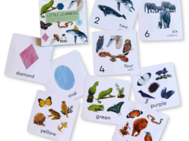 Little Learners Flash Cards