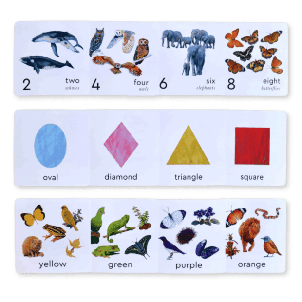 Little Learners Flash Cards | Local is Lekker ZA | African Gifts