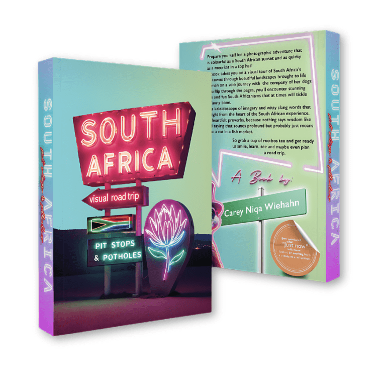 South Africa : Pit Stops and Potholes Book