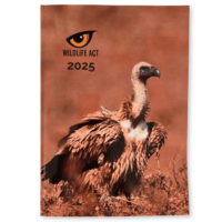 2025 Limited Edition Diary