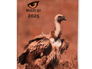 2025 Limited Edition Diary