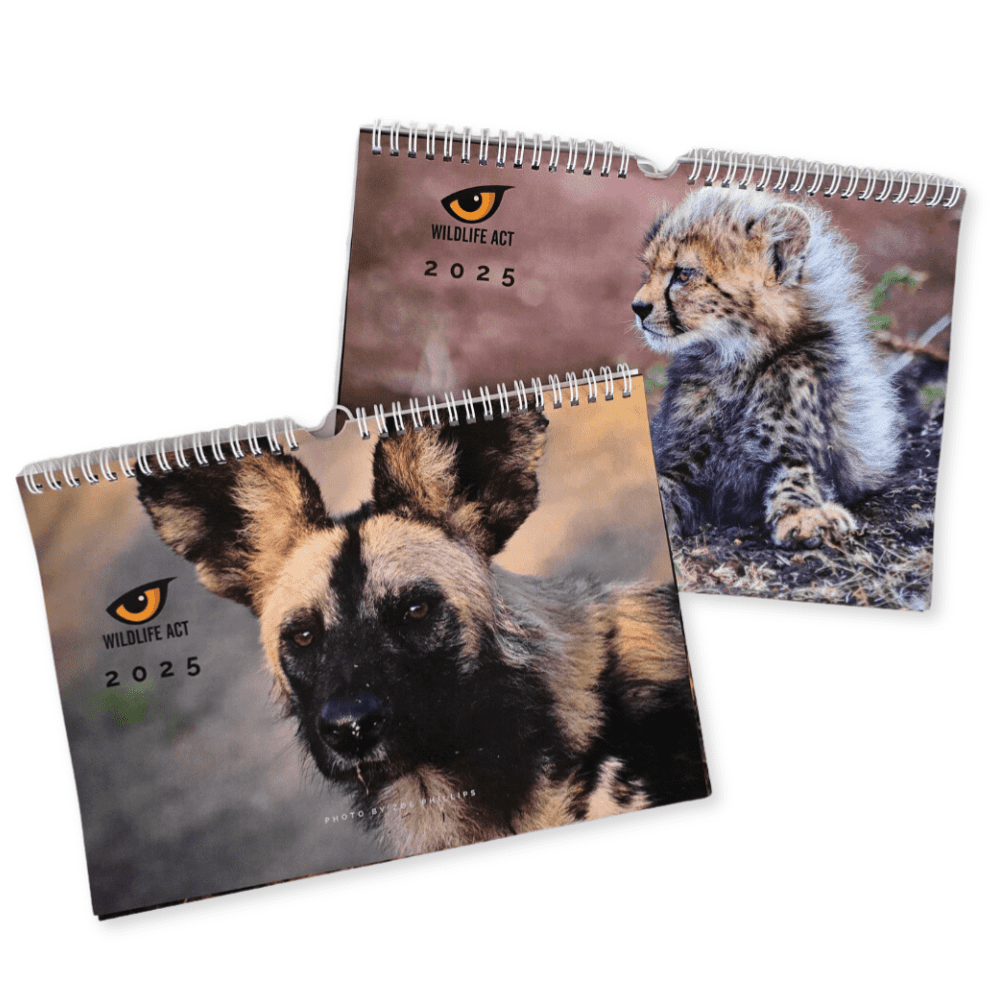 WILDLIFE ACT 2025 WALL CALENDAR - LIMITED EDITION