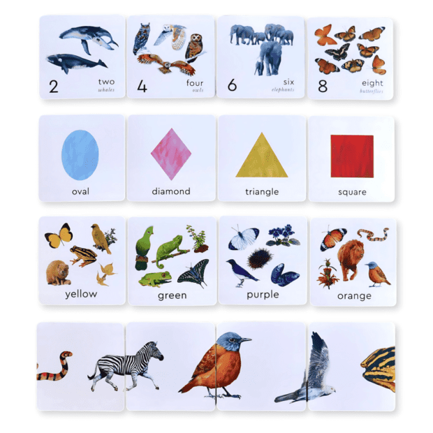 Little Learners Flash Cards | Local is Lekker ZA | African Gifts